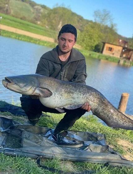 Galerie | Nebelteich | Unsere schönsten Fische