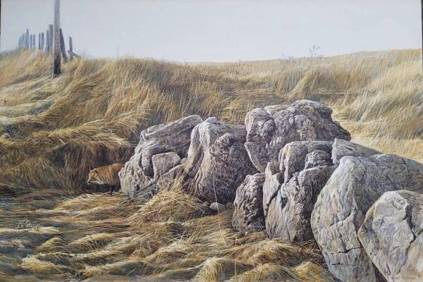 Art Country Canada ROBERT BATEMAN Original Painting In Flight - Red-Tail Hawk Acrylic on Board