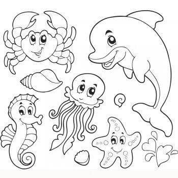 Dibujos de animales del océano para imprimir y colorear | Animales del oceano, Libro de colores, Dibujos de animales