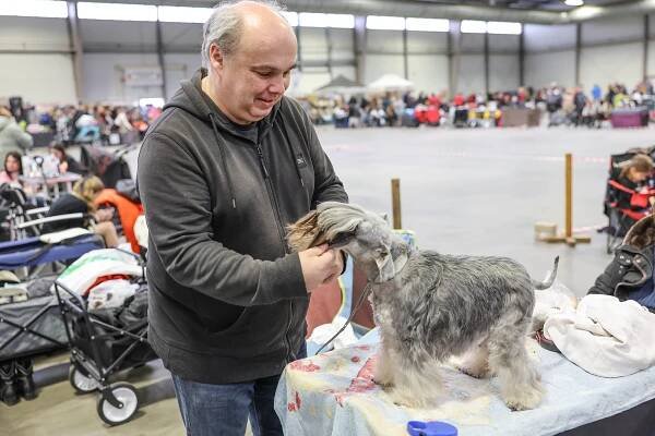 Psí krasavci soutěžili v Lysé nad Labem o tituly krajských šampionů