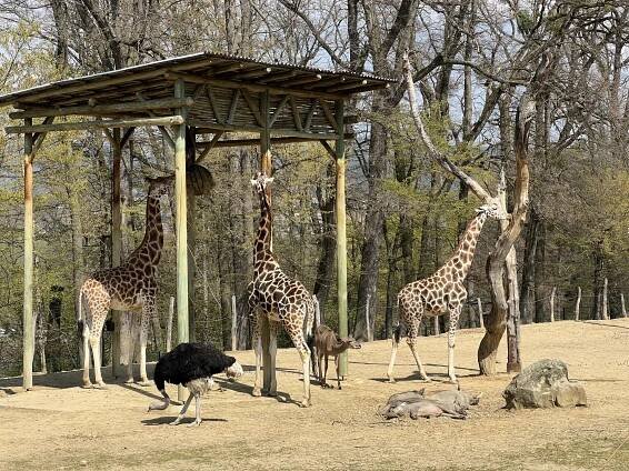 ZOO Zlín - Chrudimská beseda