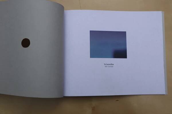 Sarah Woodward: Art & Society