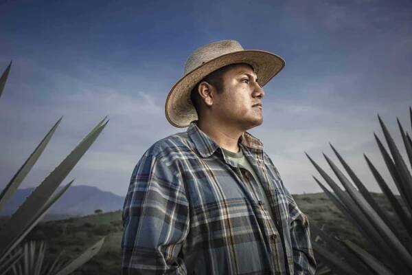 Luis Enrique Juárez Ramírez - Maguey Melate