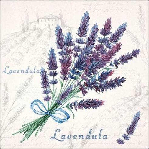 Ubrousek 179. Levandule (lavendula)