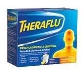 TheraFlu prechladnutie a chrípka plo por 1x14 vreciek
