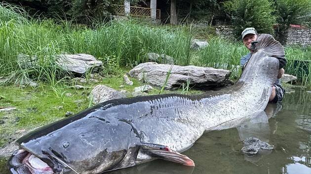 Monstrum z Vranova. Rekordního sumce dostával Vágner na břeh skoro hodinu