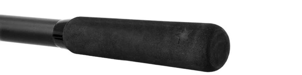 Delphin Prut Partisan Tele 300cm 100g