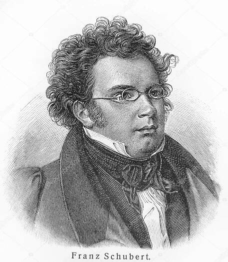 Stáhnout - Franz schubert - obrázek z meyers lexikon knih v německém jazyce. Kolekce 21 svazků, které vycházely v letech 1905 a 1909. — Stock obrázek