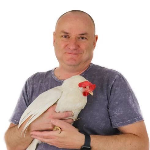 David Kaufman