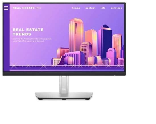 Uživatelská příručka k monitoru DELL P2222H