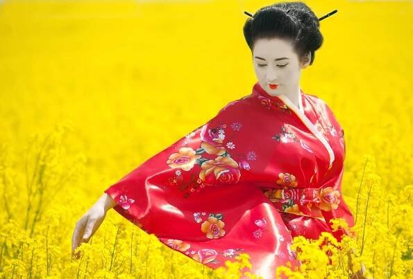 Festival japonské kultury