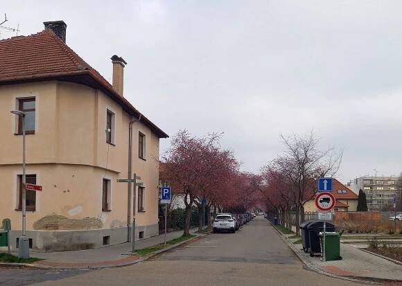 Tyršova, zdroj: Patka 29. 3. 2025