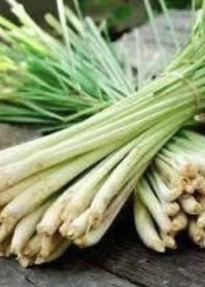 Lemongrass Essential Oil