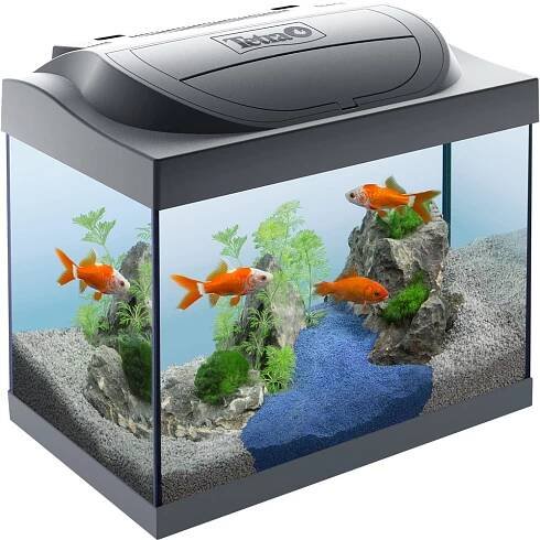 TETRA Starter Line LED Crayfish 30l 41x30x25 cm