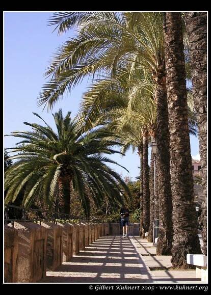 Palma de Mallorca – Gilbert's Gallery