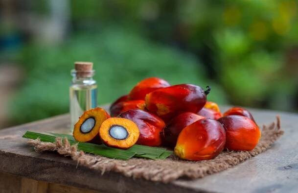 Palm oil: not the evil we think it is — CSPO