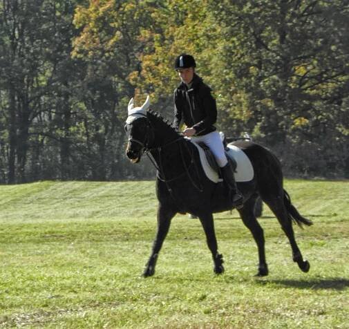 Hubert 2013 – HanyBany