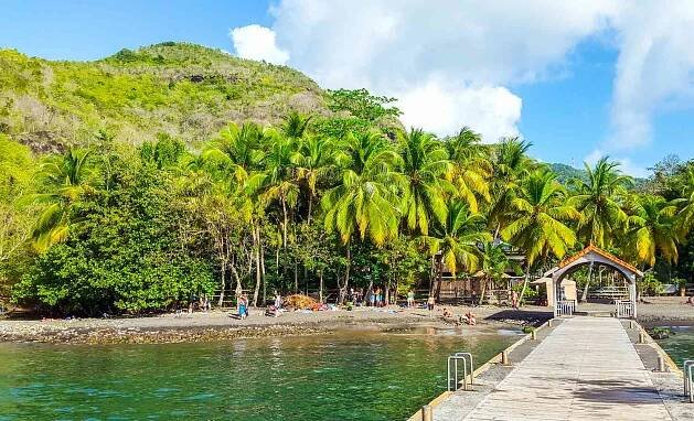 view of boardwalk going to a black sand beach with palm trees