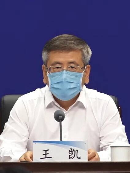 Wang Kai (politician) - Wikipedia