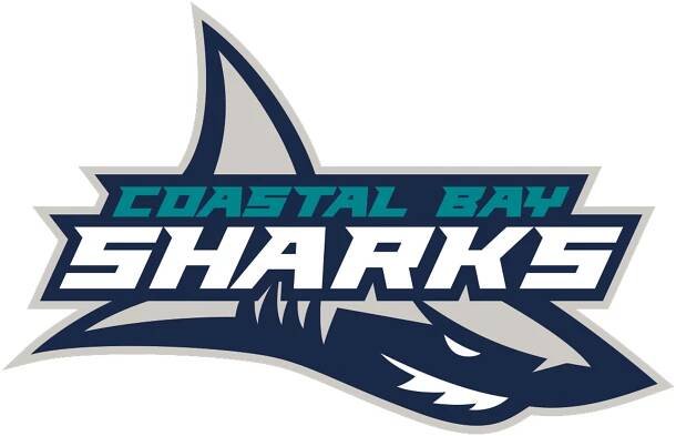 Coastal Bay Sharks