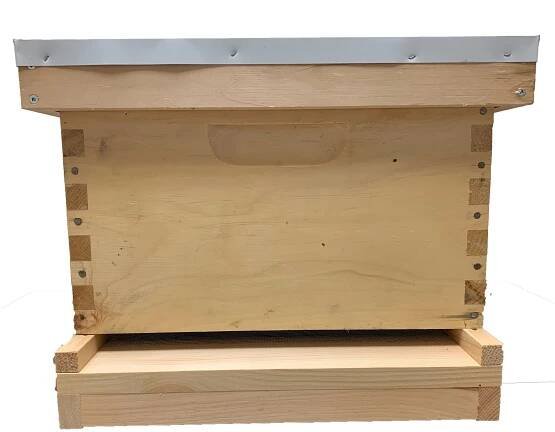 Langstroth Hive