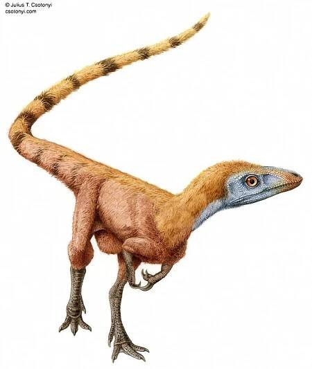 Sozialverhalten der Dinosaurier - Dinodata.de