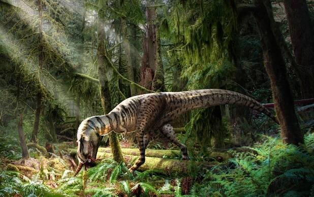 First tyrannosaur fossil discovered with its last meal perfectly preserved in its stomach