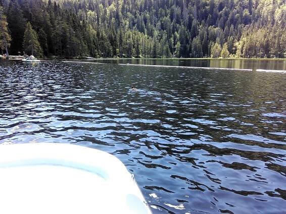 Výlet do pravěku – Arbersee – Svět dobrého jídla