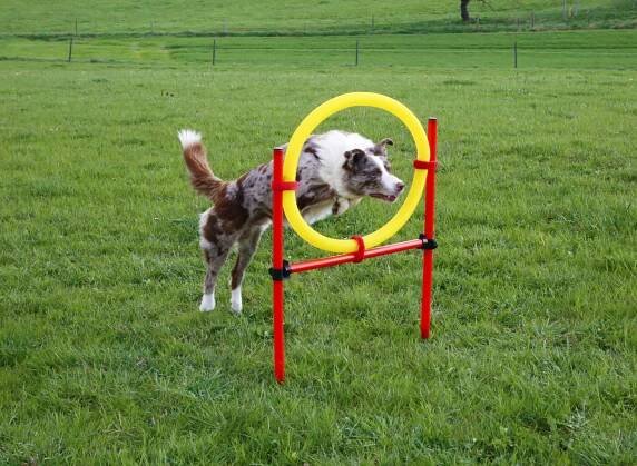 Agility překážky pro psy set 3 ks, červená/žlutá