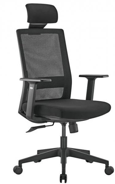 Prémiová ergonomická kancelářská židle s vysokým opěradlem Ergo Office, max. 150 kg, ER-425