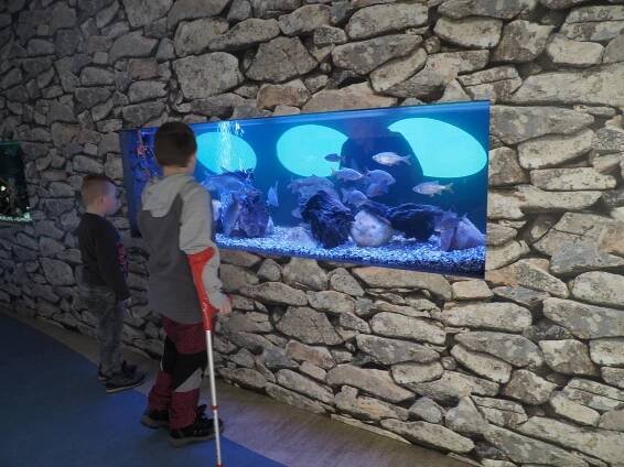 Národní zemědělské muzeum Praha | Základní škola a Praktická škola, Kostelec nad Černými lesy, K Jatkám 748