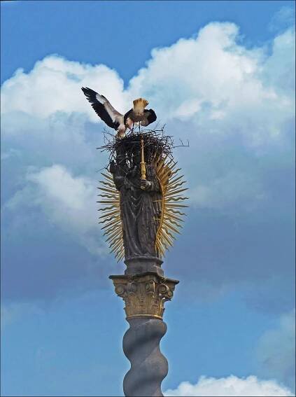 Na koruně broumovské Madony to žije
