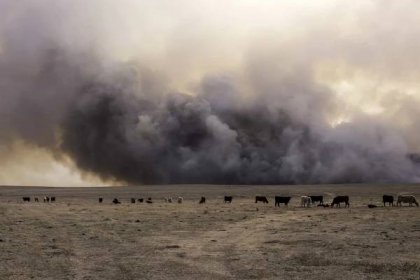 Galerie: Texas v plamenech. Stát postihl zřejmě největší požár v jeho dějinách - Fotka 1 - Echo24.cz