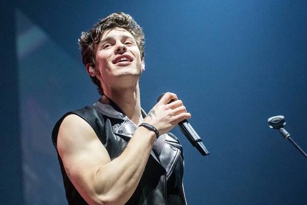 Shawn Mendes, 'If I Can't Have You': Song You Need to Know