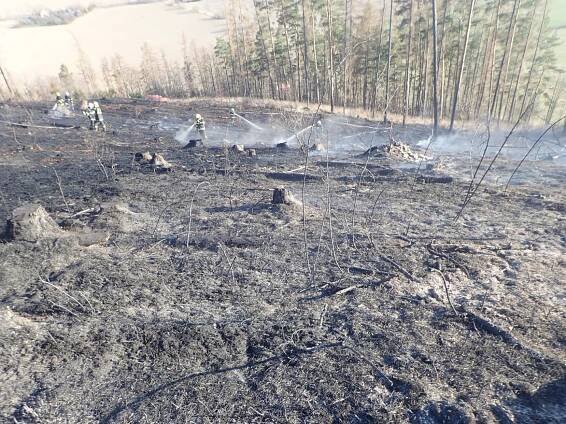 U požáru 6 hektarů lesa na Bruntálsku zasahovalo 11 jednotek hasičů, pomáhal i vrtulník | POŽÁRY.cz - ohnisko žhavých zpráv