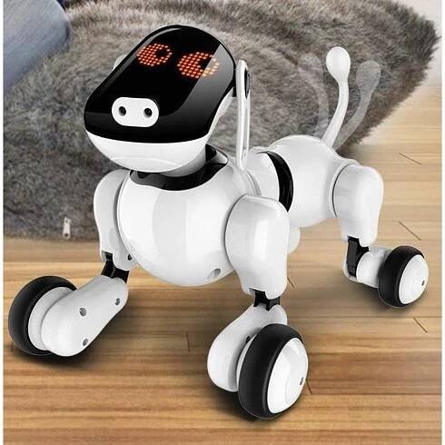 Roboterhund Test & Vergleich » Top 11 im August 2025