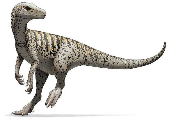 Mezi teropody, tedy tříprsté masožravé dinosaury, patřil i Herrerasaurus ischigualastensis