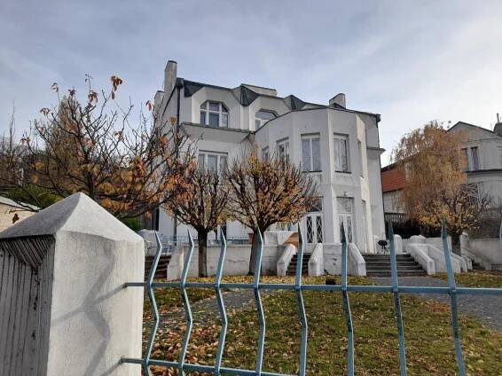Kovařovicova vila, Praha, kubismus