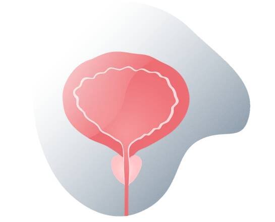 andromedi prostatitis 01