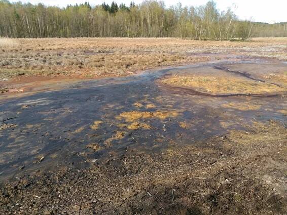 /FOTO, VIDEO/: Všude to syčí a bublá. Rezervace Soos vypadá jako z jiného světa