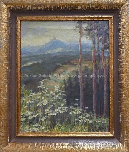 Václav Beneš - Ještěd od Radimovic - Aukční Galerie Platýz