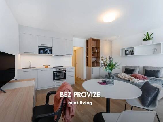 Pronájem bytu 1+kk 40 m2