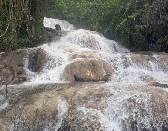 Dunn's River Falls and Park (2025) - All You Need to Know BEFORE You Go (with Reviews)