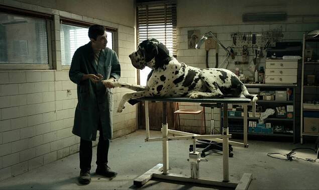 Dogman (2018)