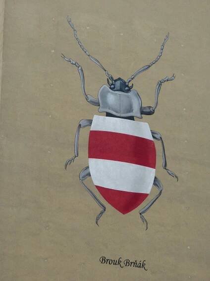 Fotografie - Brno - Mural Brněnský brouk - Bratislavská ul. - 07.06.2025