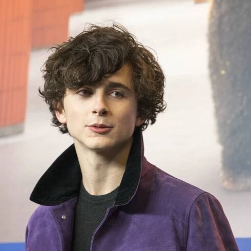 Soubor:Timothée Chalamet at Berlinale 2017.jpg