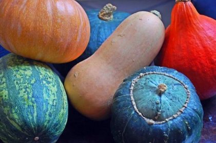 Ze zahrady do kuchyně: Dýňové recepty, které musíte tento podzim vyzkoušet!
