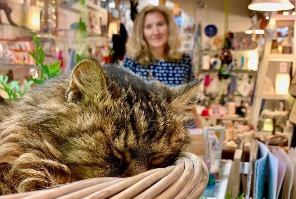 CATLOVERS - Ideen und Geschenke für Katzenliebhaber