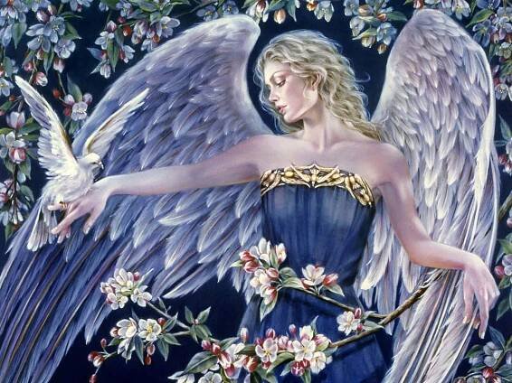 [300+] Angel Pictures