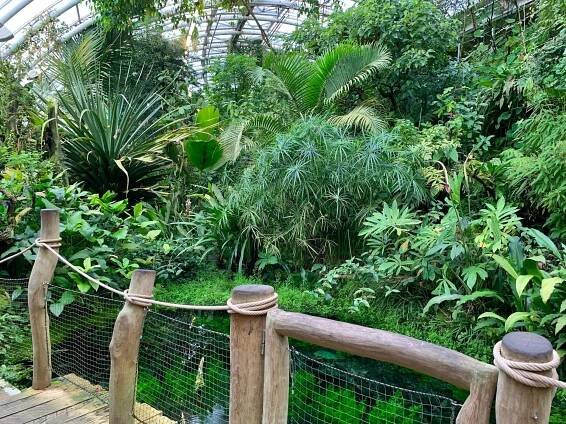 Botanická zahrada Praha › Dovčasdětmi.cz